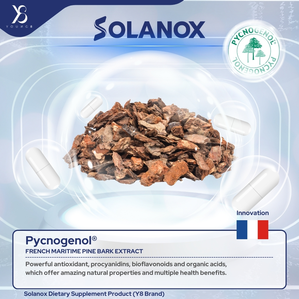 Y8 Solanox อาหารเสริม ต้านแก่ ลดฝ้าสิวผิวหมองคล้ำเรื้อรัง สารสกัด Tetra SOD , Pycnogenol พิกโนจีนอล